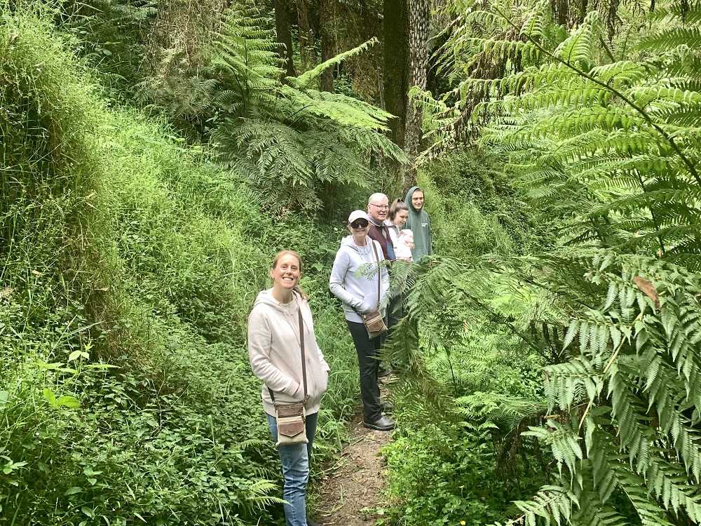A group of walkers on a forest track at South Gippsland, looking to camera 