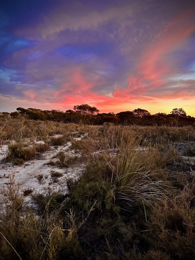 Little Desert Conservation Project